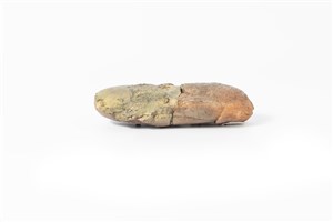 Image description is not available for 1998.3.6